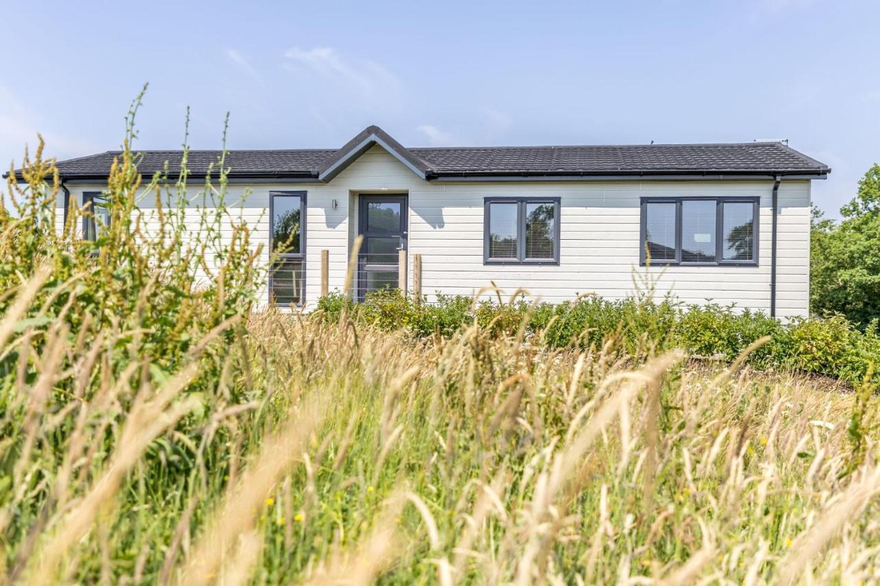 Rose Lodge, 21 Roadford Lake Lodges 利夫顿 外观 照片